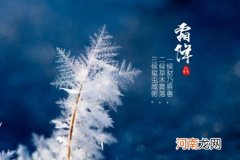 霜降节气的含义 霜降应该吃什么食物