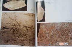 刻骨文：比甲骨文还早的中华文字