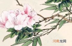 兔年有责任感有担当的男孩名字 像顶梁柱一样撑起一个家