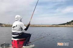 十条鲫鱼跑五条，背后原因，一般人还真不晓得