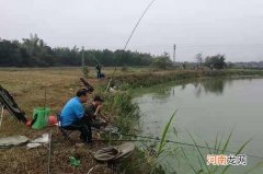 不是大板鲫不咬钩，只因你没用这狠招