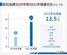 承担起长城电动车的护城河 欧拉2021年功不可没优质