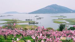 太湖三宝是哪三宝