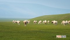 黄羊是国家几级保护动物