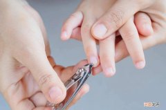 剪指甲为什么不会感到疼痛