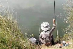 就这特效鲫鱼饵料，一般商品饵还真没法比