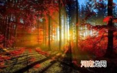 刘备野心有多大？4个儿子名字连起来竟暗藏天机