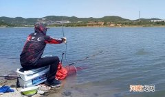 夏季野钓，总有小杂鱼捣乱怎么办