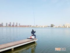 野钓鲫鲤用多大的钩？选钩不能一概而论