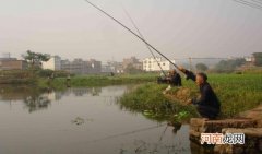 初夏，池塘野钓鲤鱼的技巧
