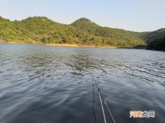 夏末野钓攻略分享，明确对象鱼，找准钓位