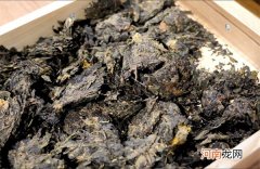 黑茶六堡茶选购指南