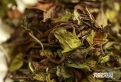 陈年老白茶如何鉴别？