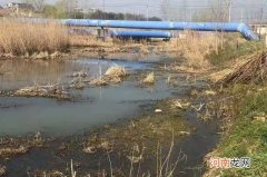 春天野钓你得这样找鱼窝