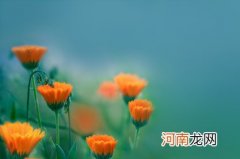 双胞胎2个男孩名字叫什么好 2022年双胞胎男孩最旺的名字