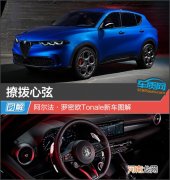 撩拨心弦 阿尔法&amp;middot;罗密欧Tonale新车图解优质