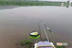 夏钓大鲫一旦换用这3招，中鱼率高到没话说