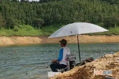 自从换用这钓法后，抛竿入水就有草鱼口