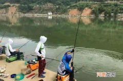 说出来你可能不信，天气越热这套鲫鱼钓法越管用