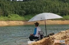 气温太高，别怪草鱼不咬钩，那是你没试过这几招