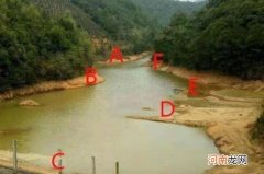 钓大鲤鱼，庆幸我有这钓法绝学