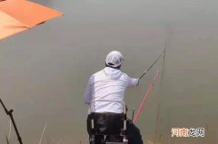 对付鳊鱼，换用这特色钓法，一扬竿就有鱼