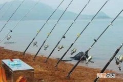 据说这钓法专攻大鲤鱼，每次抛竿入水都有口