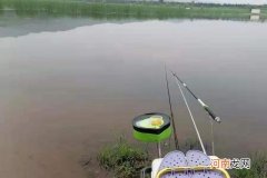 别嫌我啰嗦，要怪就怪这草鱼钓法太狠了