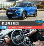 延续RS基因 新款斯柯达柯迪亚克新车图解优质