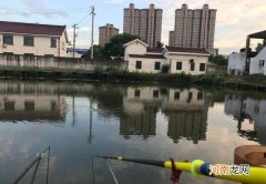 钓黑坑如何不亏钱？别做梦了，不空军才是你的目标