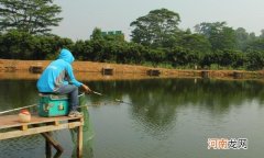 竿坑垂钓，九招助你钓慢鱼