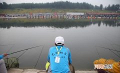 黑坑高手的漂盒里却只有两支浮漂，是忘记携带还是另有他因