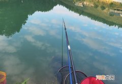 黑坑收费高，规则又多但钓友为什么不得不钓