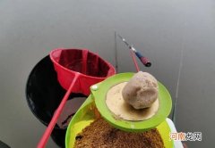 坑先学会打散炮，干货分享：低密度鱼情散炮的用法