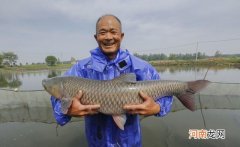 二十加巨物多如毛发的水库，老板却说鱼太小
