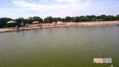 黑坑钓鱼不用药上岸难？未必！熟记这套心得，照样能上岸