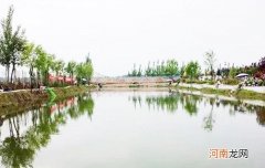 老钓友分享黑坑钓鱼6大招，钓不好鱼的钓友来看看