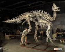 中国文化博大精深，真是让我大开眼界