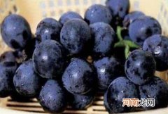 吃黑加仑有什么好处和坏处