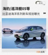 比亚迪海洋系列新车规划曝光 含巡洋舰05等优质