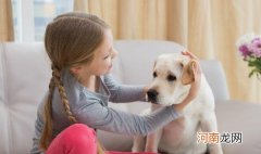 ?狗狗吃生骨肉的好处 喂食狗狗生肉需要注意的地方