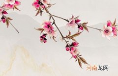 2022年9月份出生韩姓男孩起名 虎年韩姓四字男孩名字大全