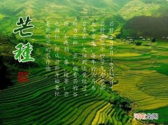 古人在芒种节气做什么 芒种要做什么事情