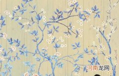 2023年3月24日属兔男孩五行属性 今天出生男孩寓意好的名字