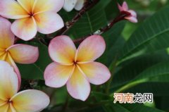 2022年年末出生最旺的男孩名字有什么 寓意男孩铁骨铮铮的名字