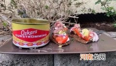 鲱鱼罐头怎么来的？