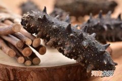 怎样发干海参最好 泡发好的海参怎么保存