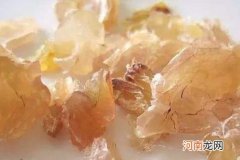 雪蛤哪些人不能吃 雪蛤的副作用和禁忌