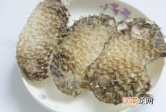 刺龟皮什么人不能吃 刺龟皮的副作用与禁忌