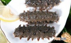 腰参和刺参的区别 吃腰参的好处